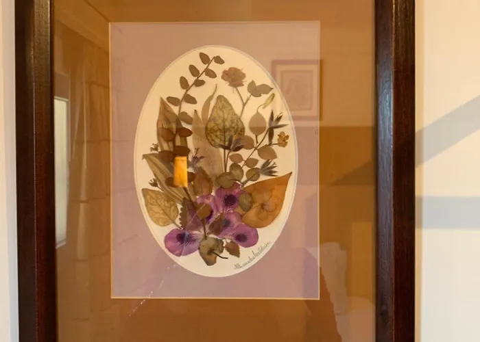 Πανσιόν Discovery